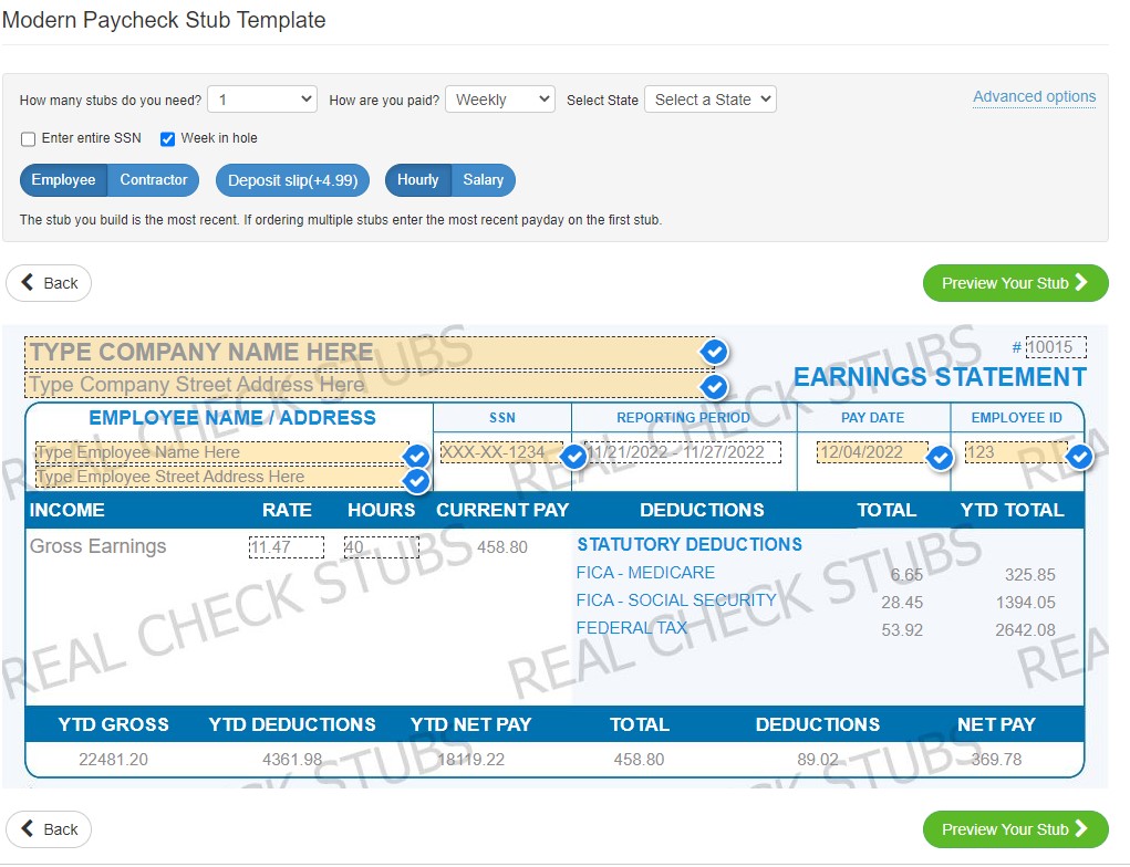 Fillable Pay Stub Template